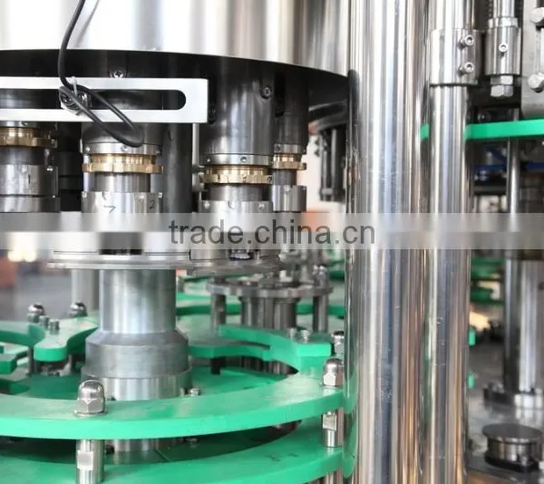 Glass Bottle Filling Machine/machinery/line/plant in Zhangjiagang photo-3