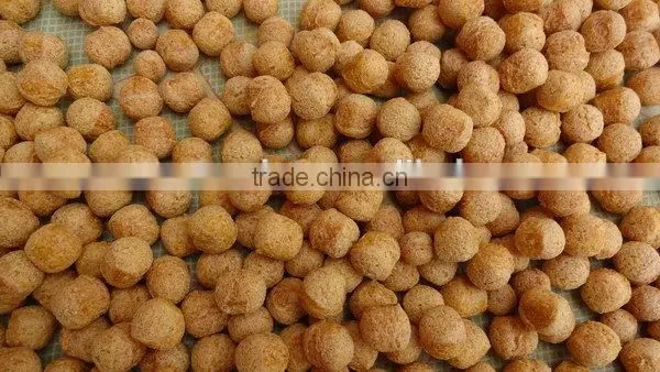 The Most Popular Useful Corn Snack Food Extruder photo-3