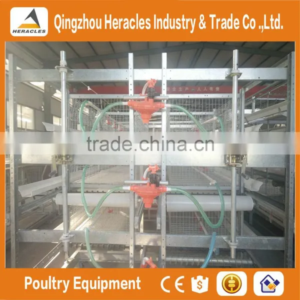 Factory Price Trade Assurance Poultry Farming Equipment Broiler Cage photo-3