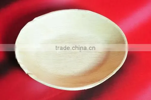 BIODEGRADABLE TABLEWARE photo-6