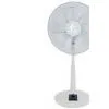 Stand Fan