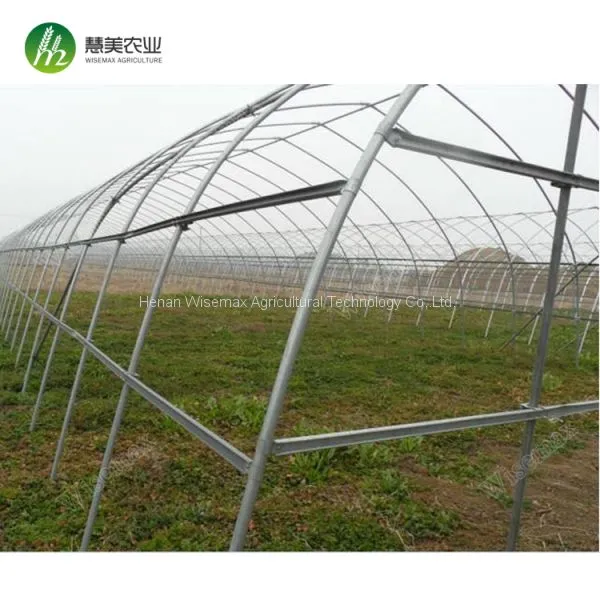 50x8m Vegetable Tomato Single Span PE Plastic Tunnel Greenhouse Sale photo-2