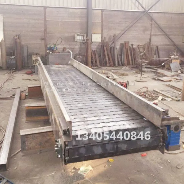 Chain Conveyor Manufacturer, Small Chain Conveyor Price photo-3