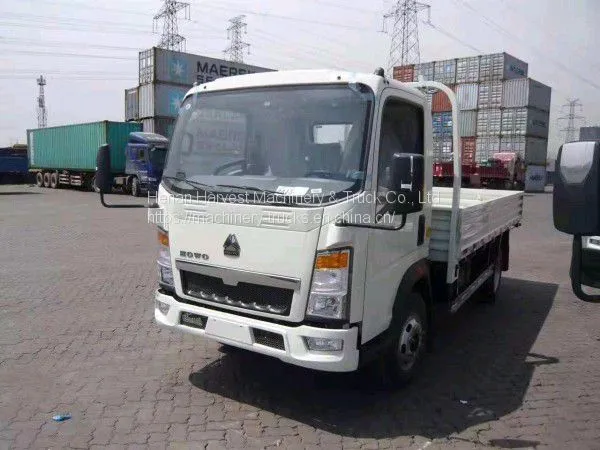 SINOTRUK HOWO 3 Ton Light Cargo Truck Low Price 4x2 Lorry Truck photo-3