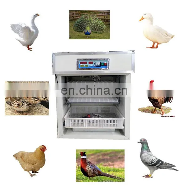 Chicken Egg Incubator Industrial Poultry Egg Incubators Automatic 5000 Hatching Eggs Hatchery Machine Price Wholesale photo-5