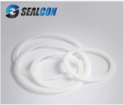 PTFE Seal