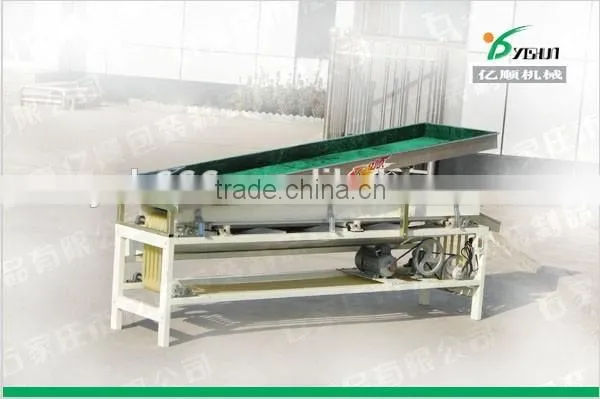 Vegetable and Fruit Sorting Machine photo-2
