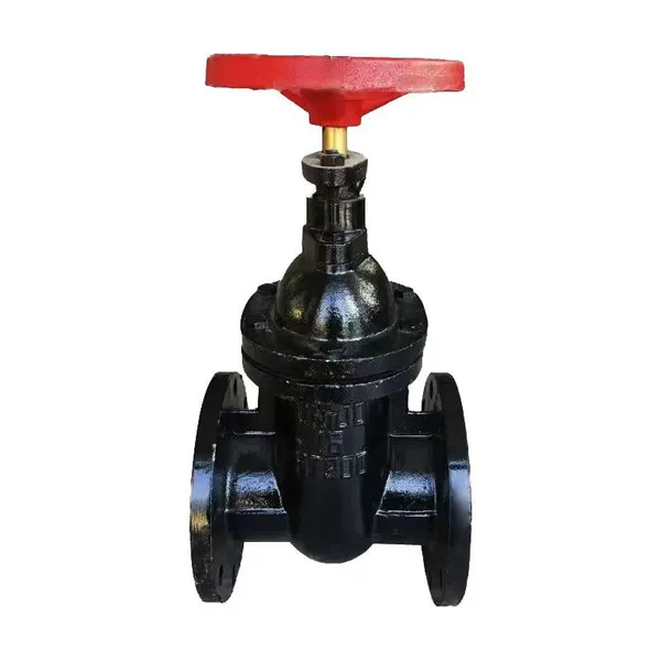 Manufacturer Direct Sales Cast Iron Flange Gate Valve Manual Wedge Valve photo-2