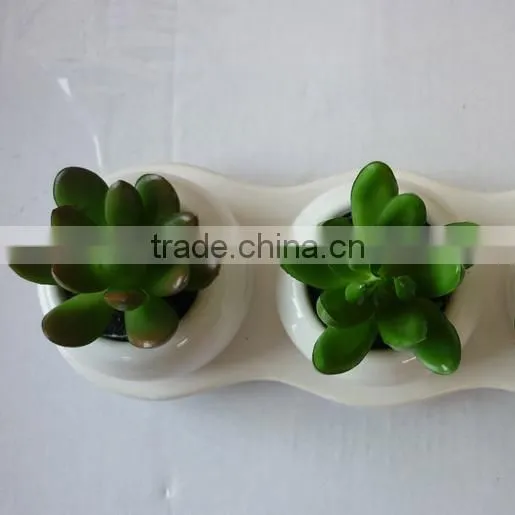 Making Artificial Bonsai Trees for Sale Indoor Decoration photo-6