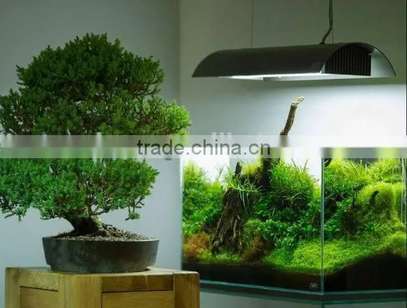 DICI Hot Sale OEM Ultra Glass Aquarium Fish Tank photo-4