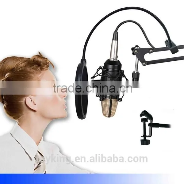 Studio Recording Windscreen Microphone For Singing , Double Mesh Gooseneck Microphone For Noise Filter photo-2