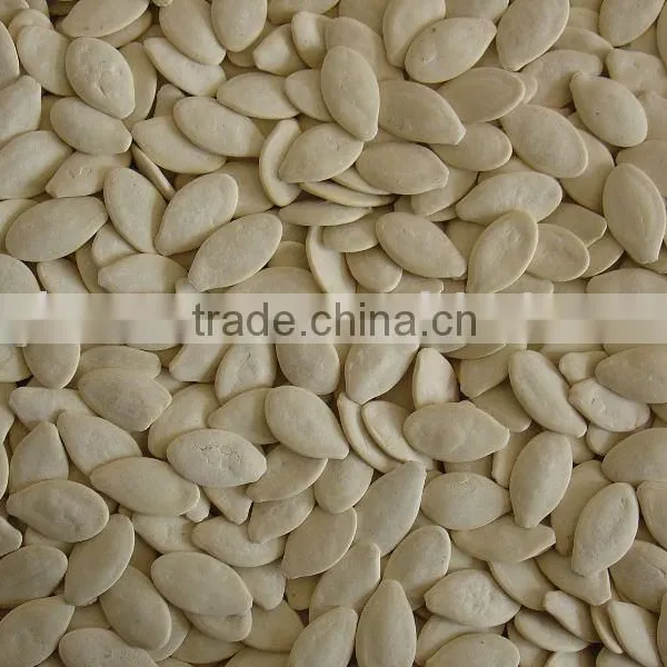 Pumpkin Seeds
