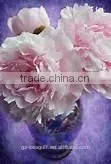 Synthetic Fragrance, Water Soluble Fragrance Oil, Long Lasting Hair Washing Shampoo Essence Oil photo-2
