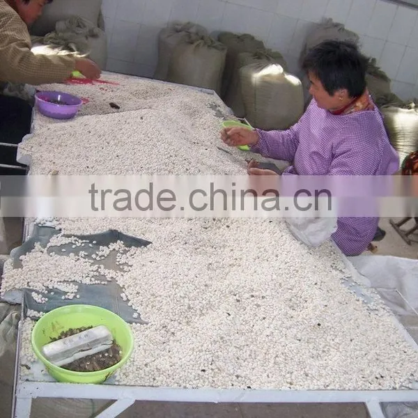 Chinese Red Kidney Beans With Good Quality for European Market photo-4