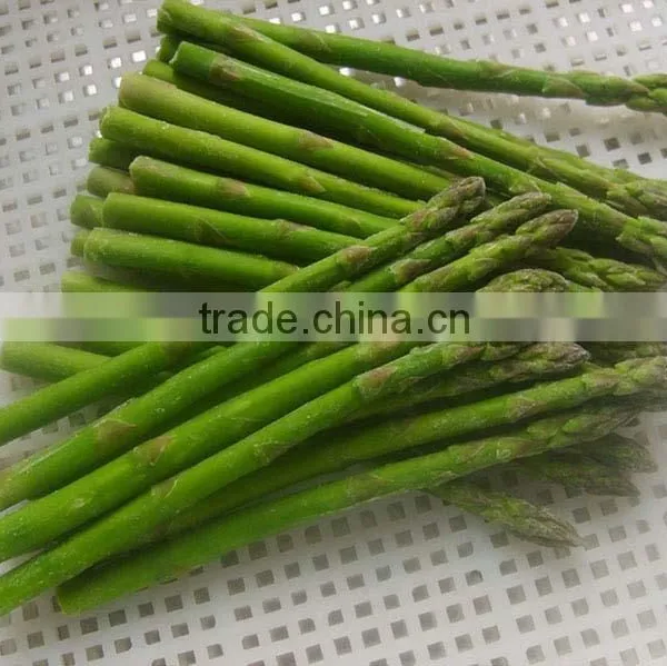 IQF Fresh Green Asparagus From China photo-2