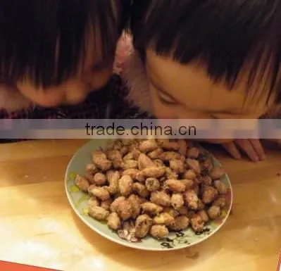 150g Salted & Roasted GOOD QUALITY Canned Peanuts photo-2