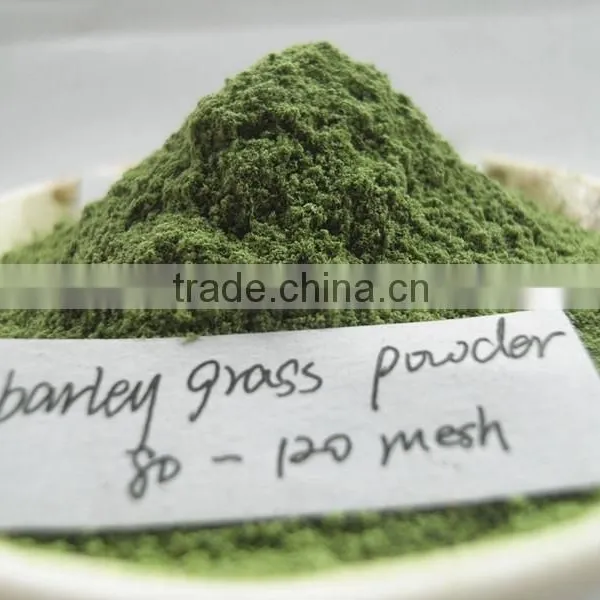 Hot Sale Barley Grass Powder