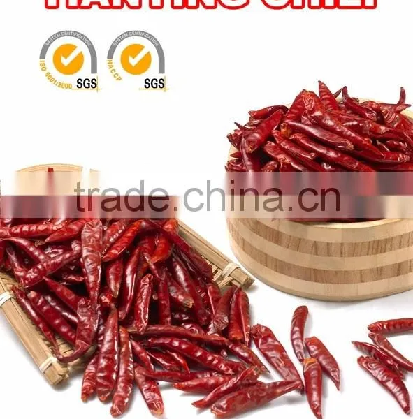 Hot Small Chaotian Chili photo-4