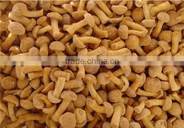 Frozen Nameko Mushroom/ IQF Nameko Food photo-4