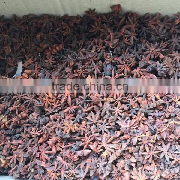 Natural Star Anise Crop 2016 photo-2