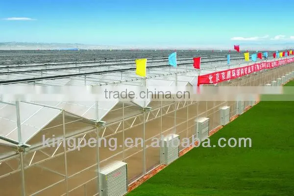 Venlo Roof Type Glass Greenhouse photo-2