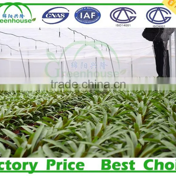 Solar Greenhouse For Agricultural photo-5