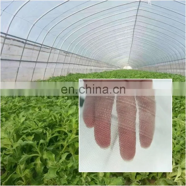 40*40,3*50 m Insect Proof Mesh Nylon Insect Net photo-2