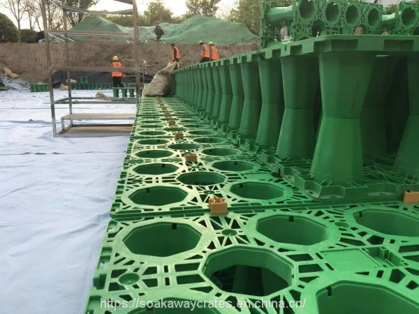 Rainwater Capture System