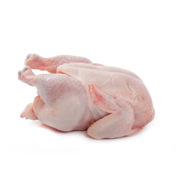 2021 Best Sale A Grade Quality Halal Frozen Chicken Meat photo-3