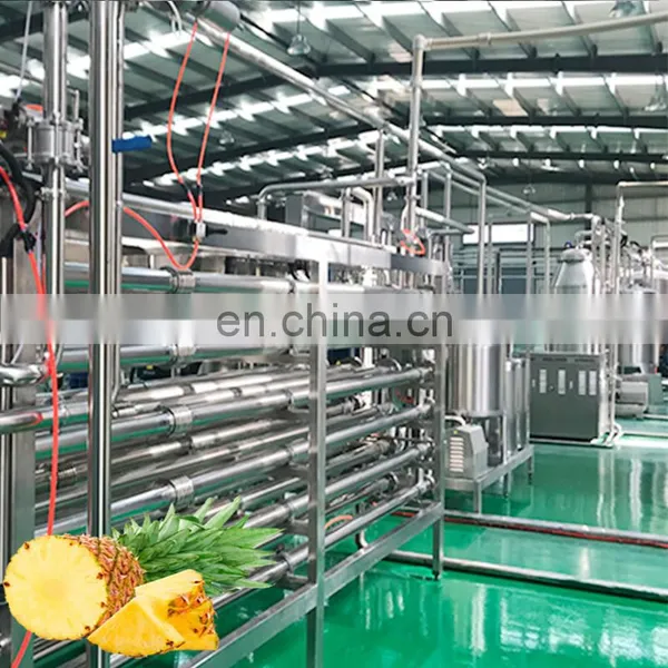 Industrial Pineapple Fruit Juice Concentrate Pulp Jam Processing Making Machine Juice Extractor Plant Production Line photo-5