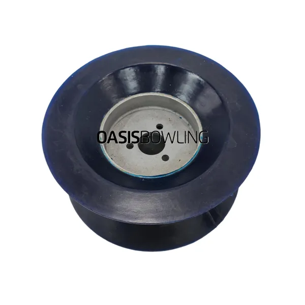 250 001 163 V-Wheel Profile Blue Bowling Lane Part for Amf 8270 8290xl Pinsetter