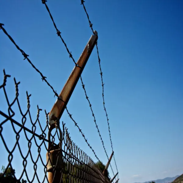 Security Protection Prison Applications Galvanized Cattle Barbed Wire photo-4