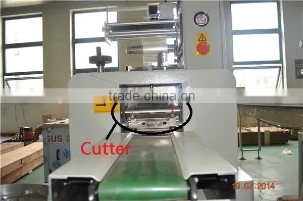 China Factory YB-350 Automatic Pillow Type Idli Packing Machine Horizontal Flow/0086-18516303933 photo-6