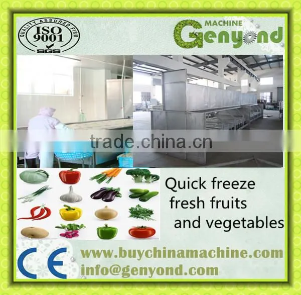tunnel Instant freezer SD-3000KG