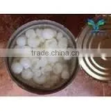 Canned Fresh Longan in Syrup A10 Tin (3100ml x 06 Tins)