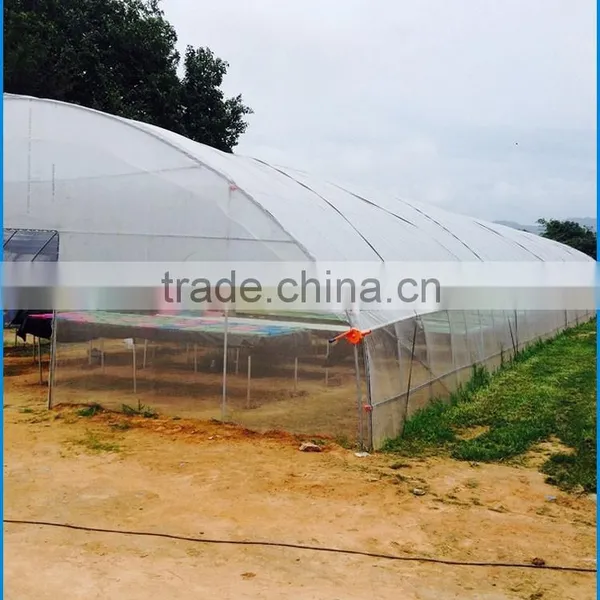 Film Cover Material and PE Material Small Greenhouse Wholesale photo-6