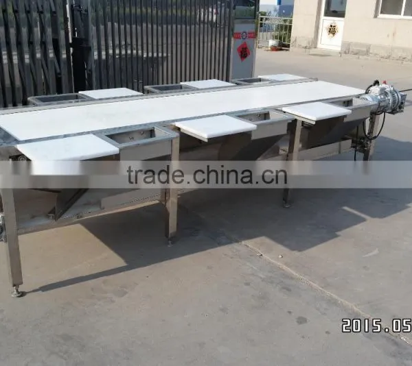 Fruit and Vegetable Processing Line photo-2
