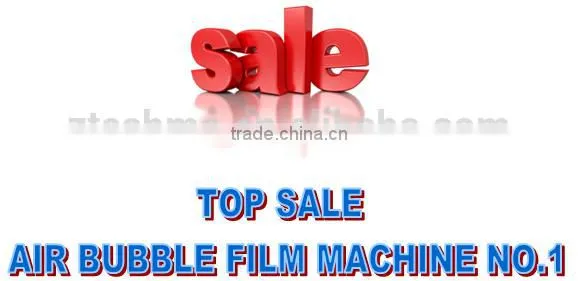 Automatic 2-layer PE Air Bubble Film Making Machine Twin Screw photo-2