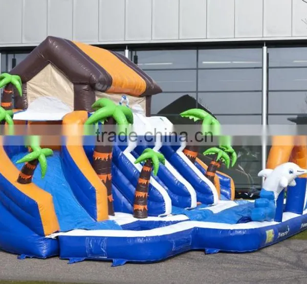 Boys and Girls Water Inflatable Pool Slide, Low Price Inflatable Waterslide on Sale photo-2