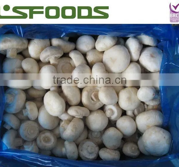 Frozen IQF White Button Mushroom 2014 NEW CROP photo-4
