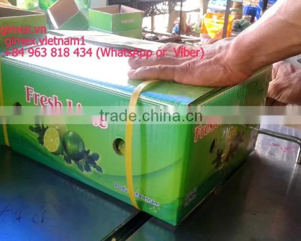 FRESH SEEDLESS LIME photo-2