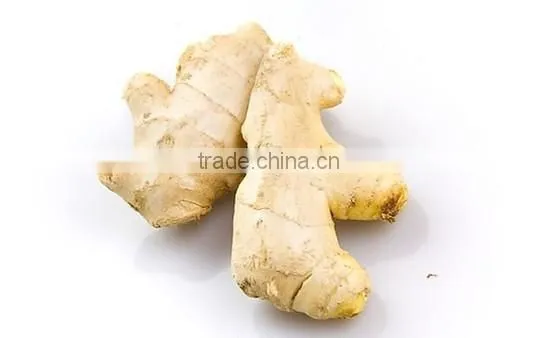 2016 Competitive Price Mesh Bag Ginger photo-3
