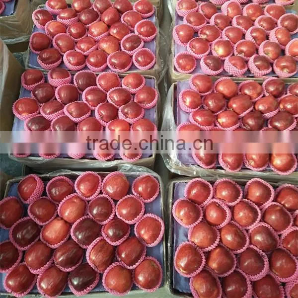 Chinese Fresh Apple Fresh Apple Fruit for Sale photo-3