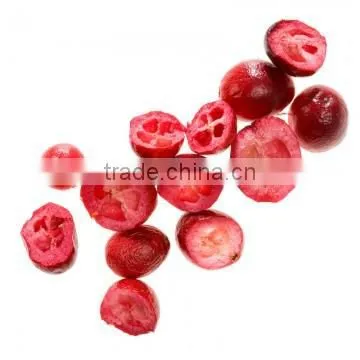 Freeze Dried Cranberry photo-2