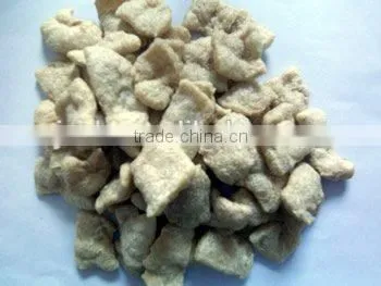 500kg/h Textured Soya Protein Vegetable Food Processing Machine photo-6
