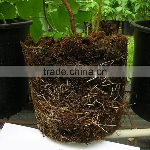 Humic Acid and Fulvic Flake Organic Fertilizer Extracted From Leonardite photo-2
