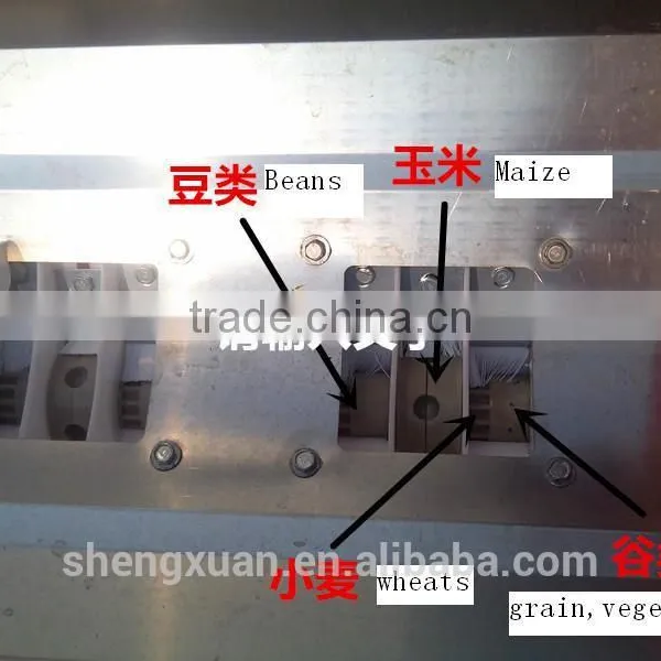 Vegetable Seed Plant Machine Made by Weifang Shengxuan Machinery Co.,ltd. photo-5