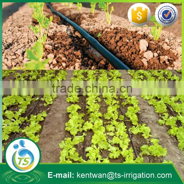 High Quality Garden Irrigation System Products Drip Irrigation System photo-2