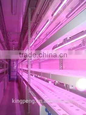 Plant Factory in Container photo-2