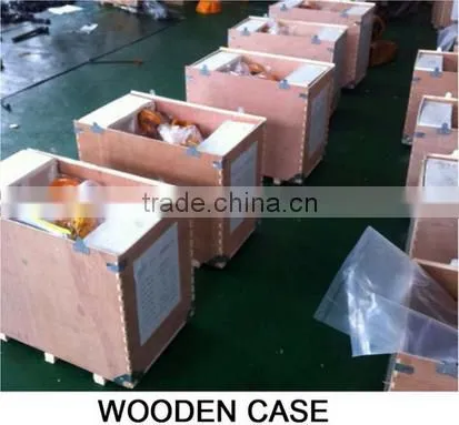 10ton Reliable Electric Chain Hoist Rolling Door With Imported Electrical Part photo-2